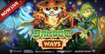 Bamboo Ways