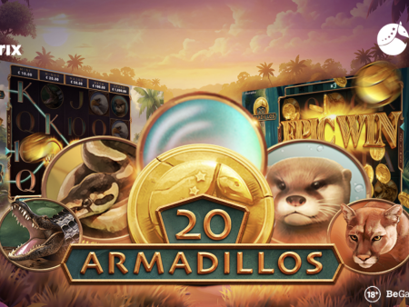 20 Armadillos