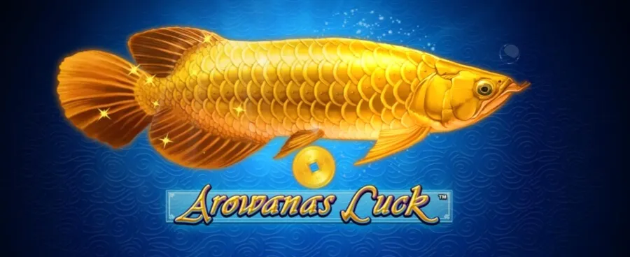 Arowanas Luck