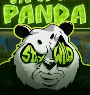 Eye of the Panda
