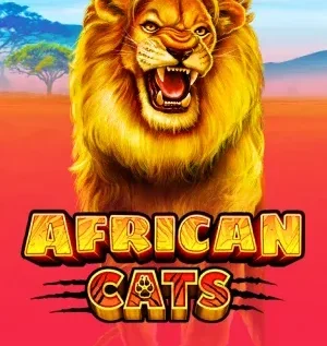 🦁 African Cats
