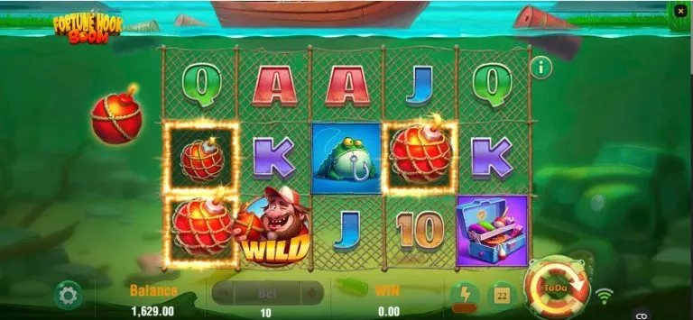 Fortune Hook Boom