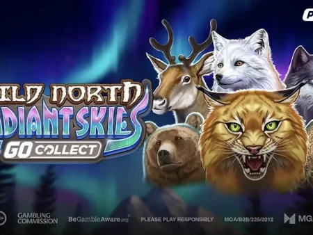 Wild North Radiant Skies GO Collect