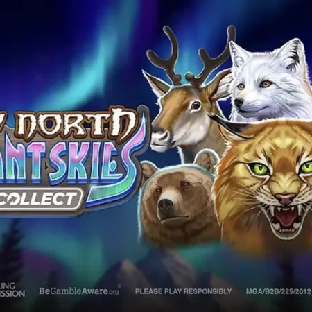 Wild North Radiant Skies GO Collect — Reseña, características y bonificaciones