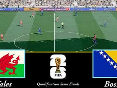 Wales vs Bosnia