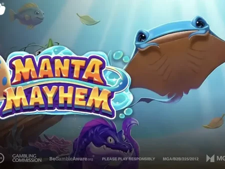 Manta Mayhem