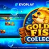 Golden Fish Collector de Evoplay: Caza Peces Dorados con Sistema de Captura en la Tragamonedas de Pesca